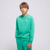 Nike K Nsw Club Flc Crew Ls Lbr Boy Zelená EUR 158-170