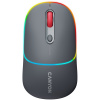Canyon MW-22 CNS-CMSW22DG
