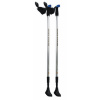 NILS Extreme NW 602 Nordic-Walking palice