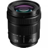Panasonic Lumix S 20-60mm f/3.5-5.6 Macro