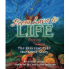From Lava to Life
