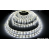 ECOLIGHT LED pásik - SMD 5050 - 5m - 60LED/m - 14,4W/m - studená biela