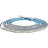 DAISY LED STRIP 120LED/m IP65 CW 5m 12W/m - LED pásik