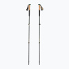 Trekingové palice Black Diamond Trail Cork laurel green