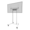 Neomounts FL55-875WH1 White
