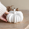 Storefactory Podzimní dekorace Dýně Hovsjö 14 cm