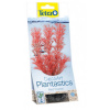 Tetra Foxtail Red S rastlina 15 cm
