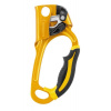 Petzl Ascension right