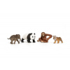 Startovací set Wild Life Asie