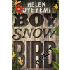 Boy, Snow, Bird