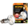 Hagen Exo Terra Intense Basking Spot 75 W