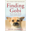 Finding Gobi