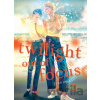 Twilight Out of Focus 3: Overlap