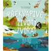 Překvapivé životy zvířat - Drobek