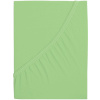 B.E.S. PETROVICE Plachta na posteľ Jersey česaná bavlna MAKO 160 × 200 cm, svetlozelená