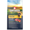 Ontario Puppy Mini Lamb & Brown Rice 6,5 kg