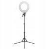 Kozmetická lampa - Active Light Ac122571 100 vo viacstore (3 Diop zväčšenie dielne kozmetická lampa)