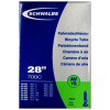Duša Schwalbe (28
