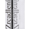 Zrcadlení (František Pavlíček)