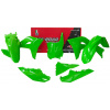sada plastov KAWASAKI, RTECH (zelená, 5 dielov)