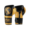 Katsudo boxerské Rukavice Fight, čierno zlaté - 14oz