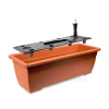 Prosperplast Balcony CAN Truhlík samozavlažovací 50x19x16cm ISBT5CAN