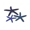 BiOrb Star Fish Decor set modrá 12, 10 a 8 cm