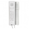 2N ATEUS-1120101W IP ATEUS-1120101W