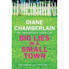 Big Lies in a Small Town - Chamberlainová Diane