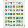 LARSEN Puzzle Zvieratá severnej pologule (ZOO 1) 49 dielikov