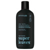 Attitude Pánský zklidňující šampon a kondicionér 2v1 Super Leaves Eukalyptus & Sage 415 ml
