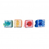 BABY EINSTEIN Kocky látkove set 4ks Explore&Discover 3m+