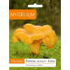 Podhubie Mycélium Kuriatko jedlé 10 g