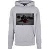 Passion Rose Basic Hoody - heather grey L