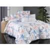 Brotex Povlečení francouzské bavlna 200x200,70x90 Nella