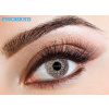 Eyespy - One Tone Grey | mesačné + 60ml roztok + púzdro zadarmo