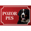 Bernský salašnícky pes - Kovová tabuľka POZOR PES