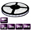 ECOLIGHT LED pásik - SMD 2835 - 5 m - 60 LED/m - 10,8 W/m - 24V - IP20 - studená biela