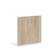 Lenza Dvere na skriňu Impress 74 x 37 x 80 cm, dub sonoma