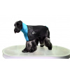 Show Tech Show Tech+ Mesh Straightening Coat for Medium Springer Spaniels & Border Collies