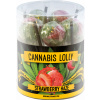 Cannabis Strawberry Haze Lollies – darčeková krabička (10 lízaniek), 24 krabičiek v kartóne, 4320 g