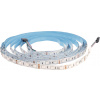 DAISY LED STRIP 60LED/m IP65 RGB 5m 10W/m - LED pásik