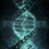 Disturbed - Evolution / Vinyl [LP]