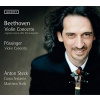 Beethoven & Possinger: Violin Concertos (CD) (ACCENT)