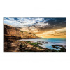Samsung QE50T (LH50QETELGCXEN)