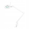 LED LAMPA GLOW 8021 NA DOSKU, REG. FARBA