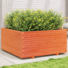 vidaXL Záhradný kvetináč voskovohnedý 100x100x49,5 cm masívna borovica