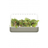 Kvetináč Click and Grow Smart Garden 9 béžový SG9B