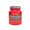 Amix Creatine monohydrate 300 g powder