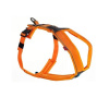 Non-Stop Dogwear Line Postroj